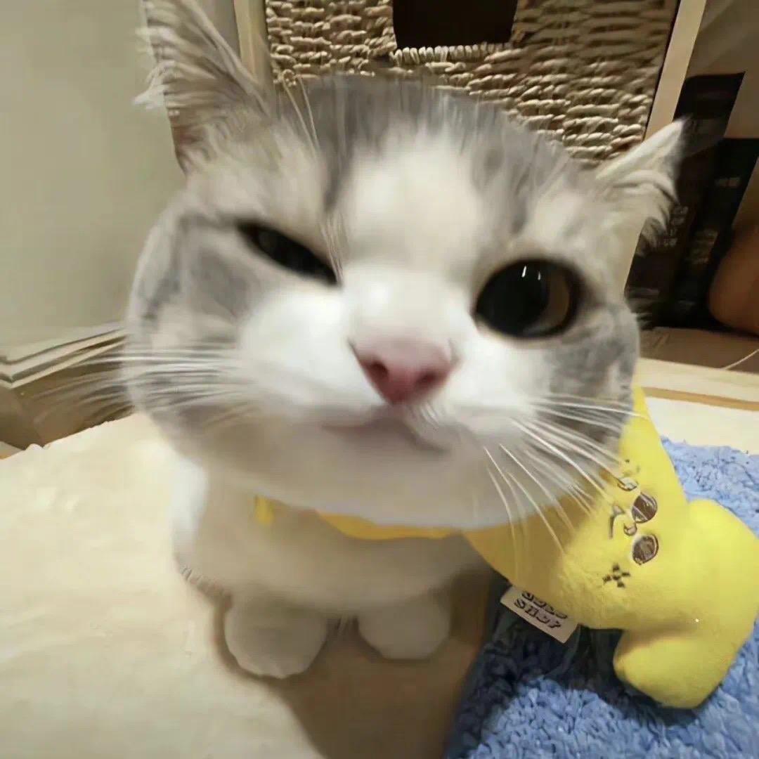 是抽抽呀~