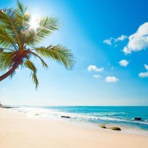 阳光沙滩🏖️
