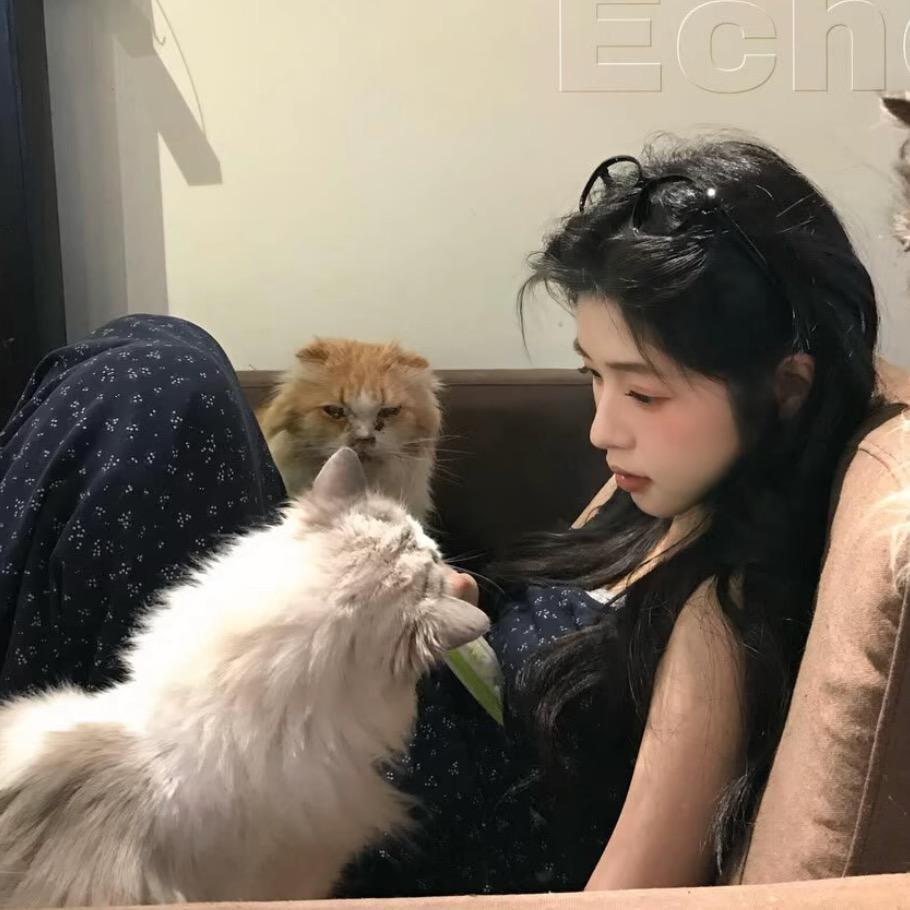 qq