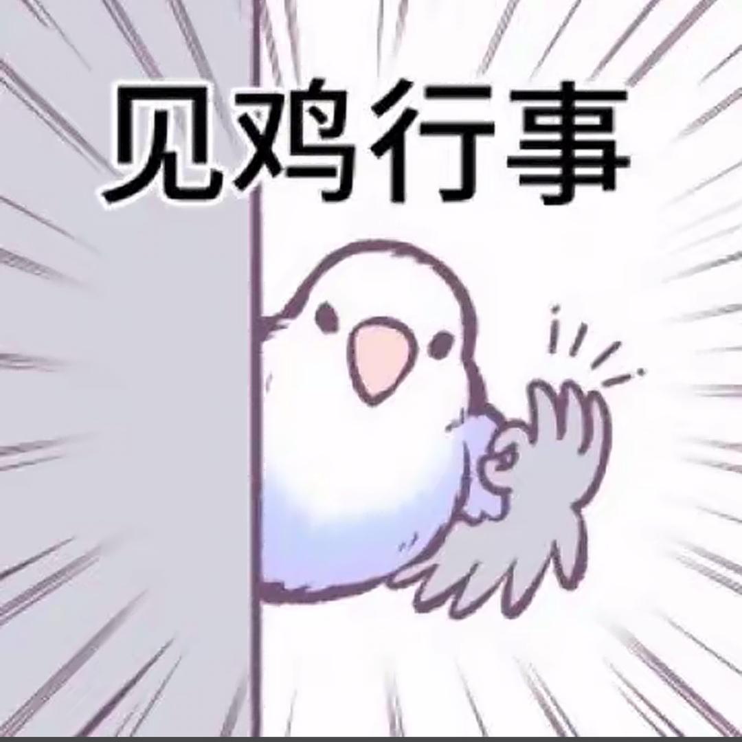 争气ji🦜啦