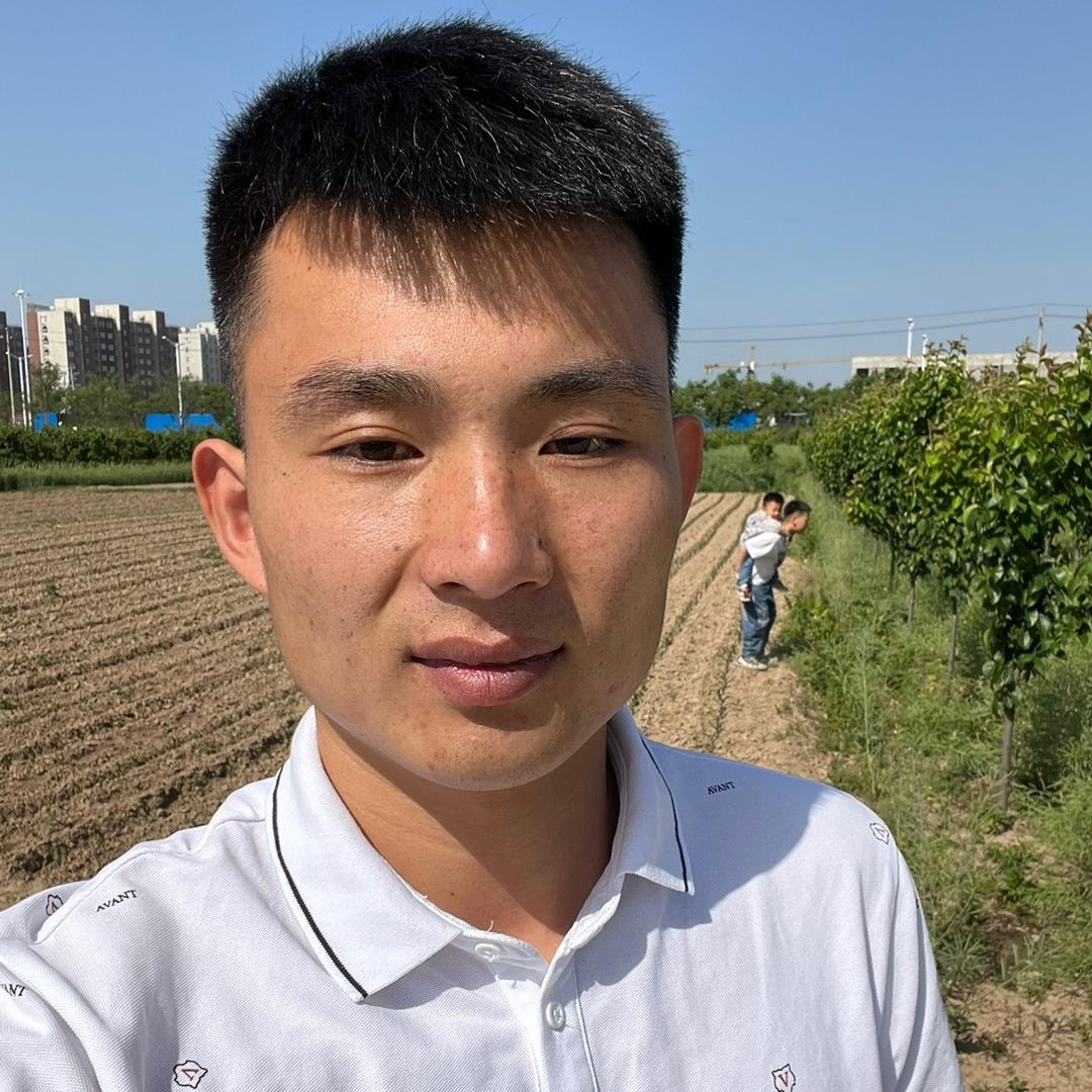 四季冰行