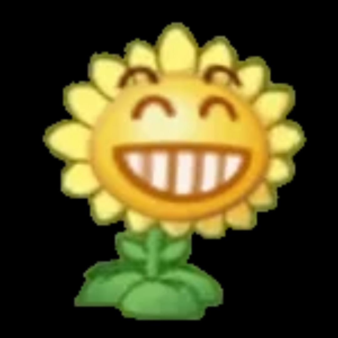 混的葵。