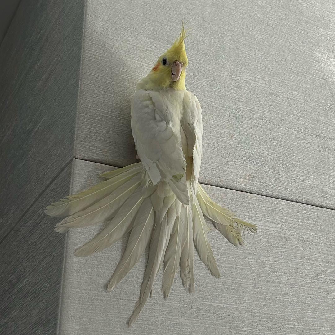 颖颖💕
