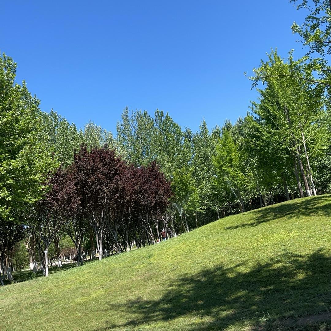 樱子美甲，纹绣