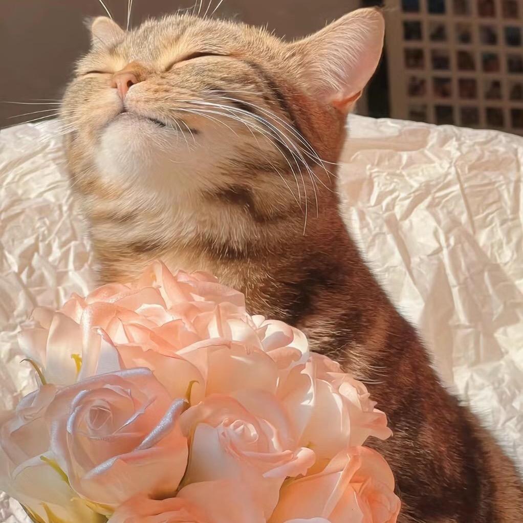 南昌花漾美学派对