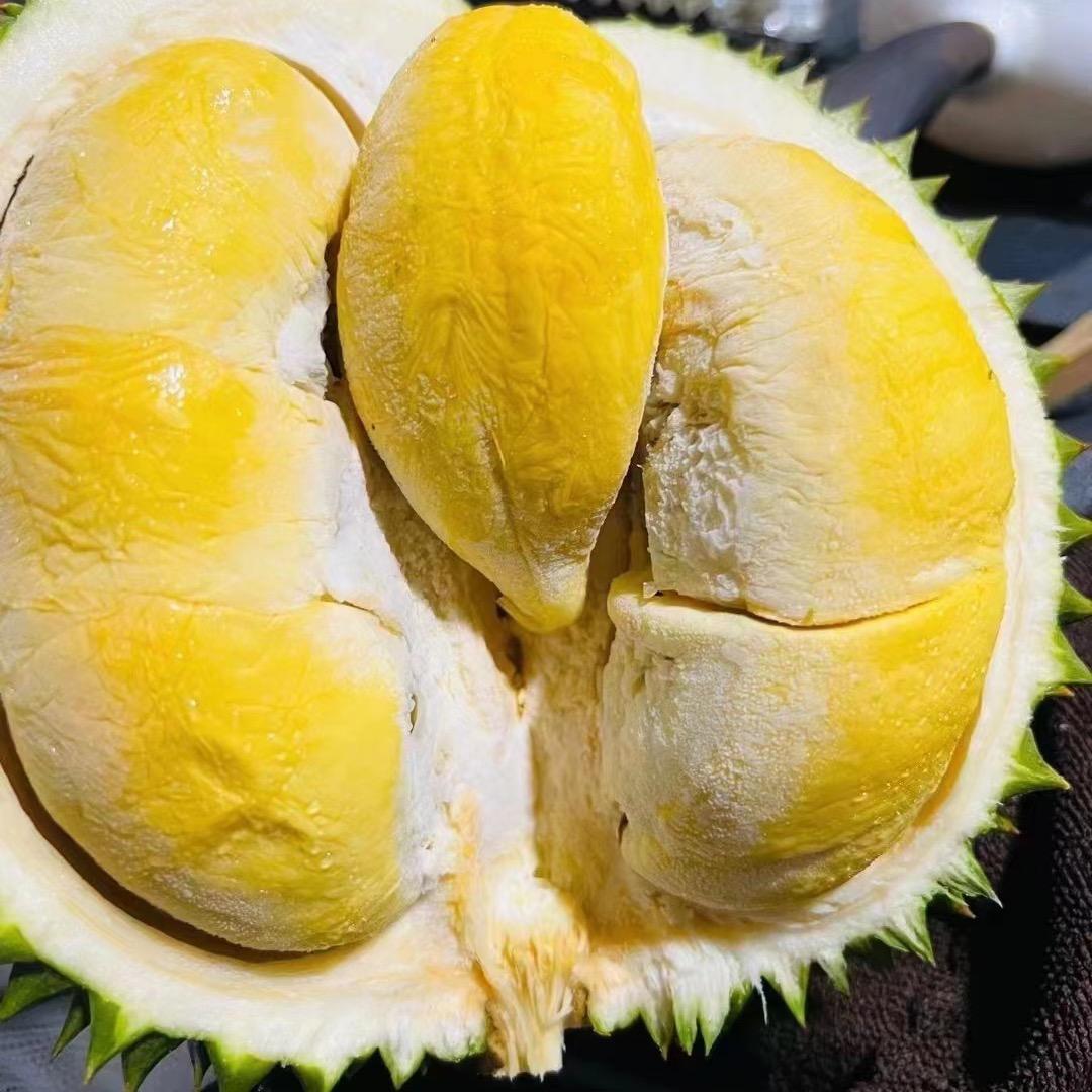 榴金岁悦小时达
