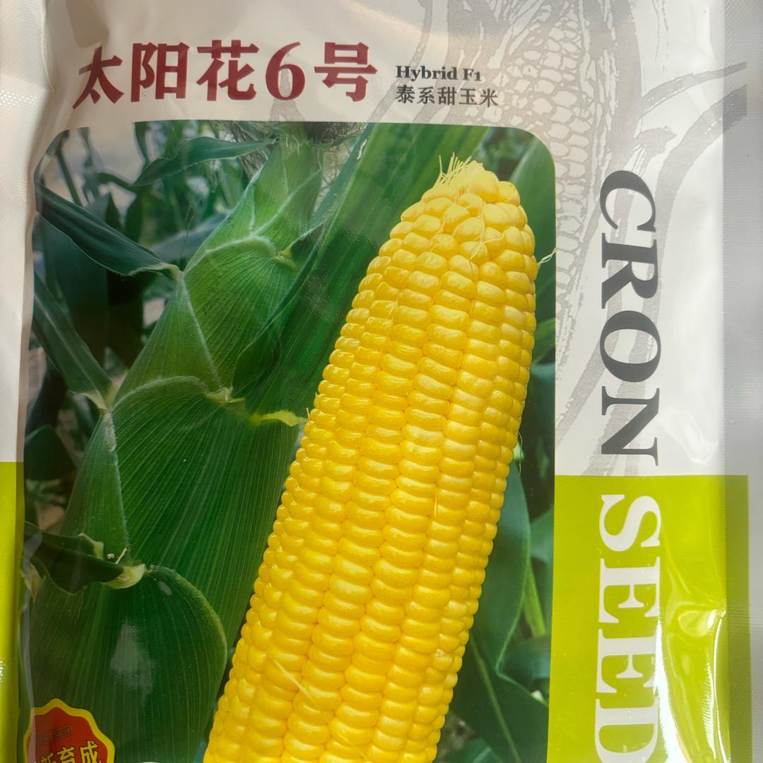 湖北蔬菜～老曾