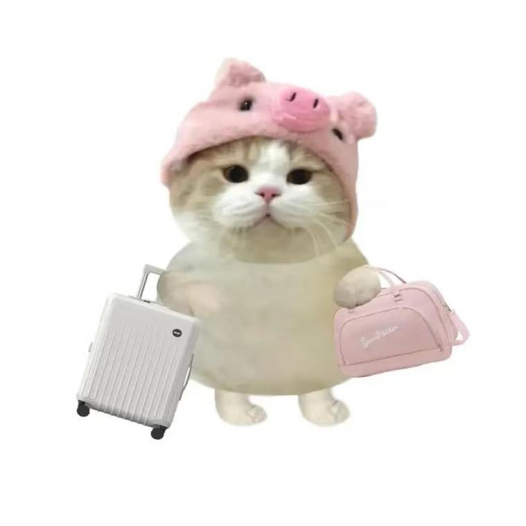 华籍美鱼