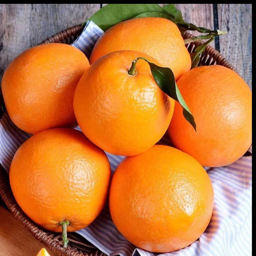 小时达同城配送