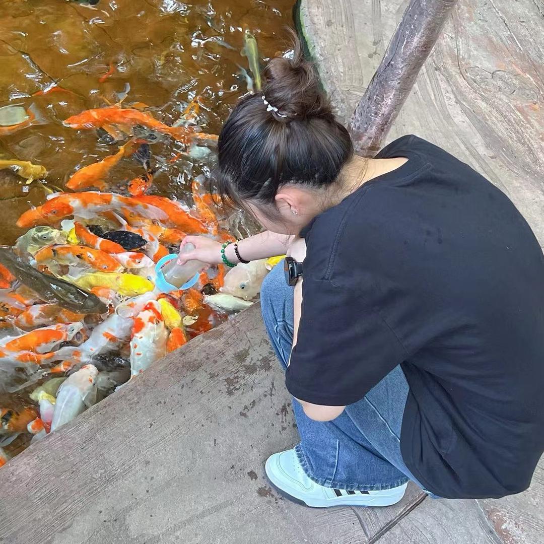 糖炒板栗