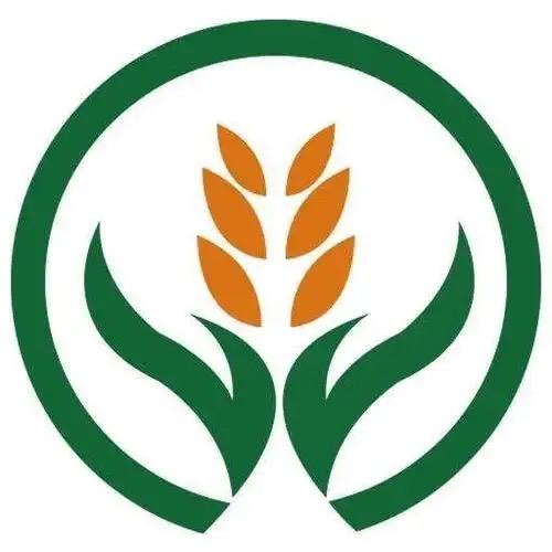 新疆温宿大米