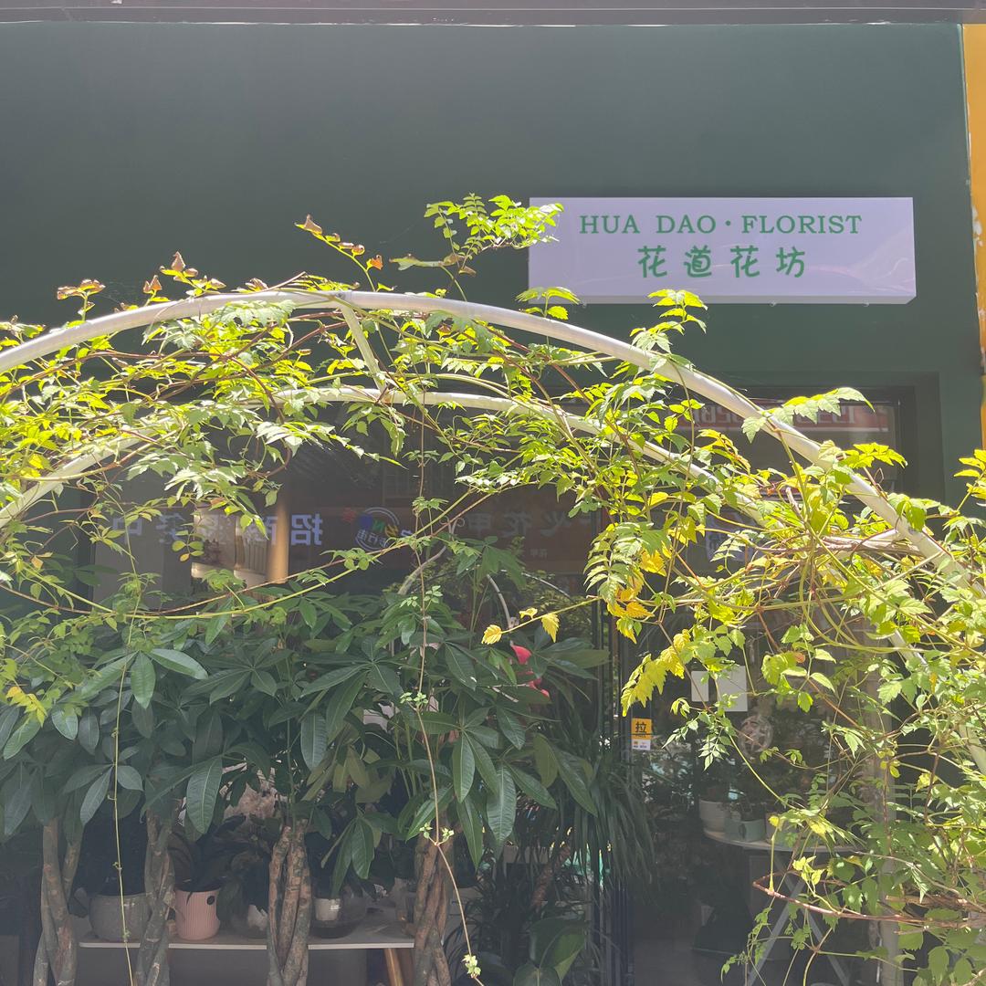 林江花房咖啡馆官方号