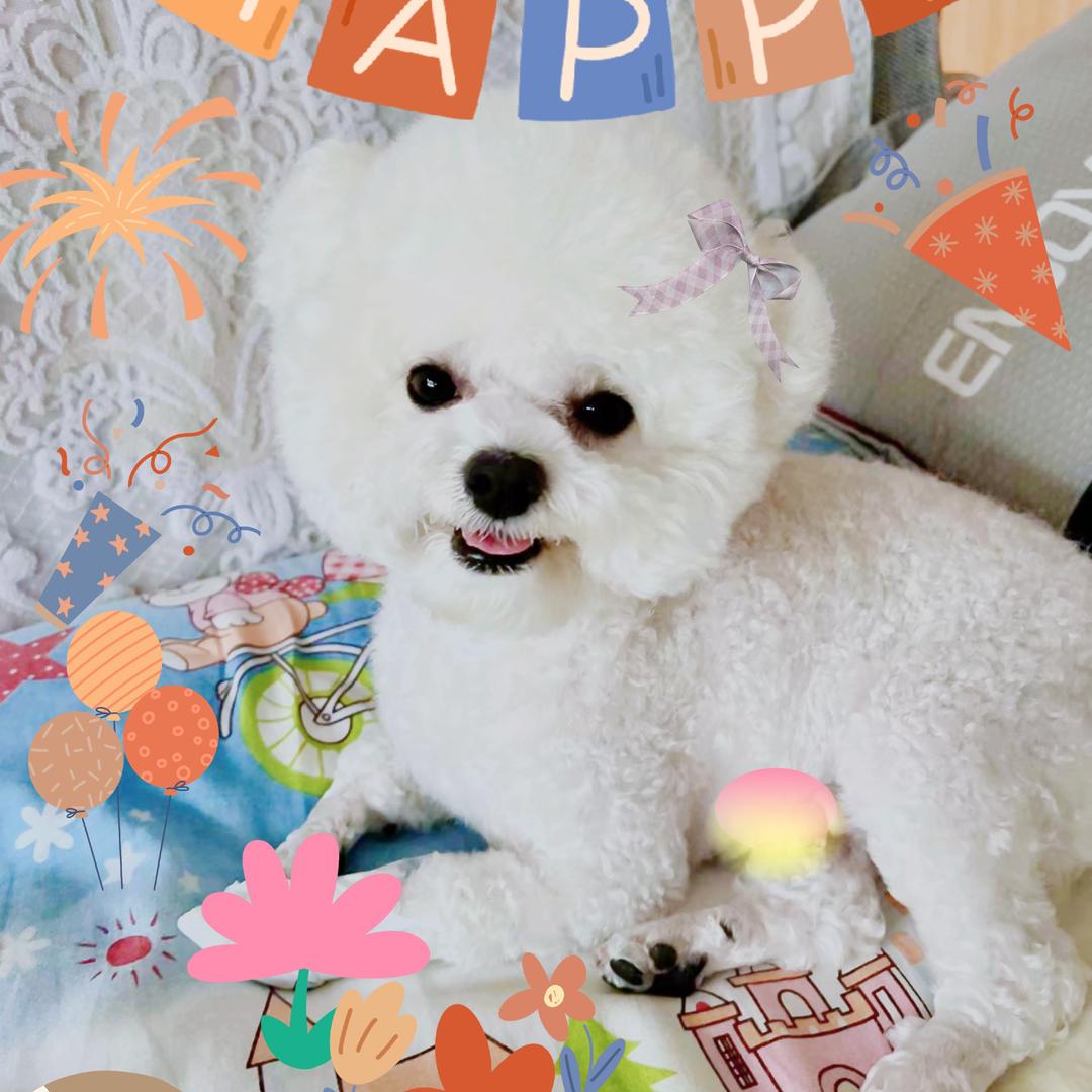 🐒¹⁹₉₂王℘࿐