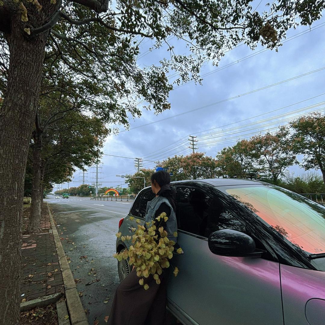 晴时见（摆烂版）