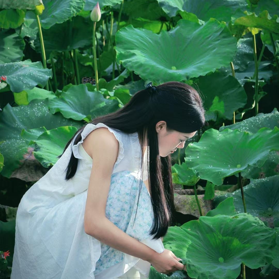 璀璨印象非洲翠