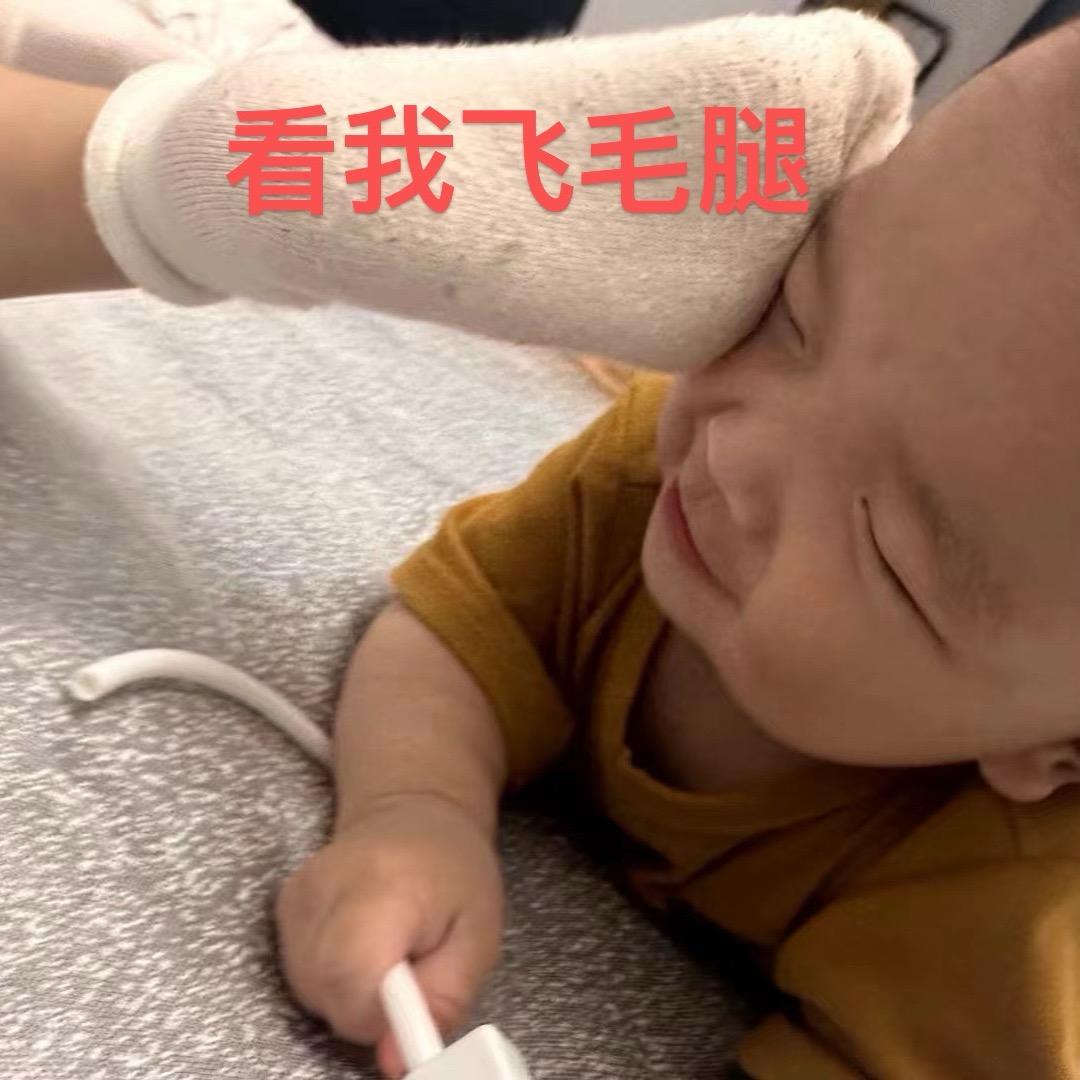 儒鱼德水