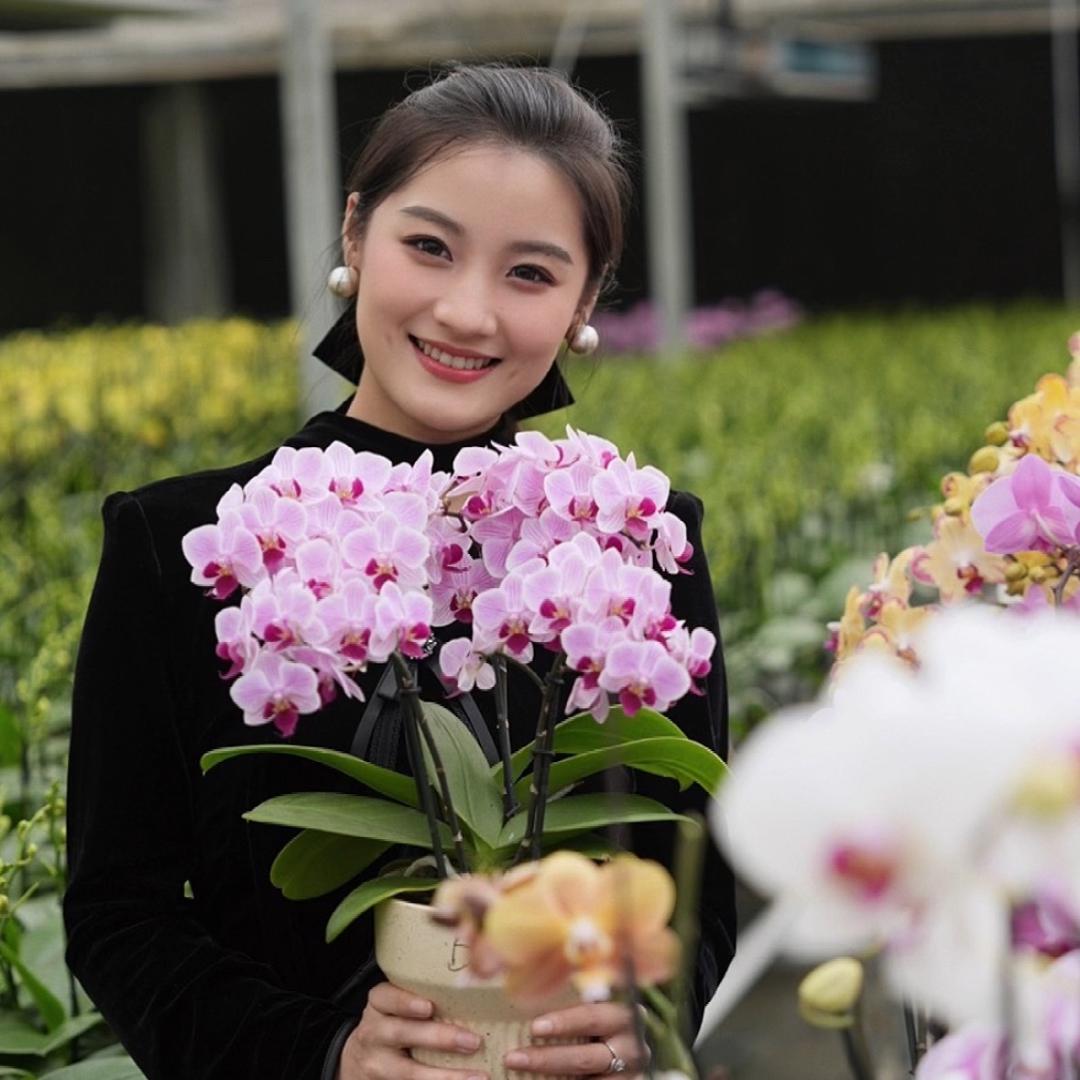 梦茜儿花坊