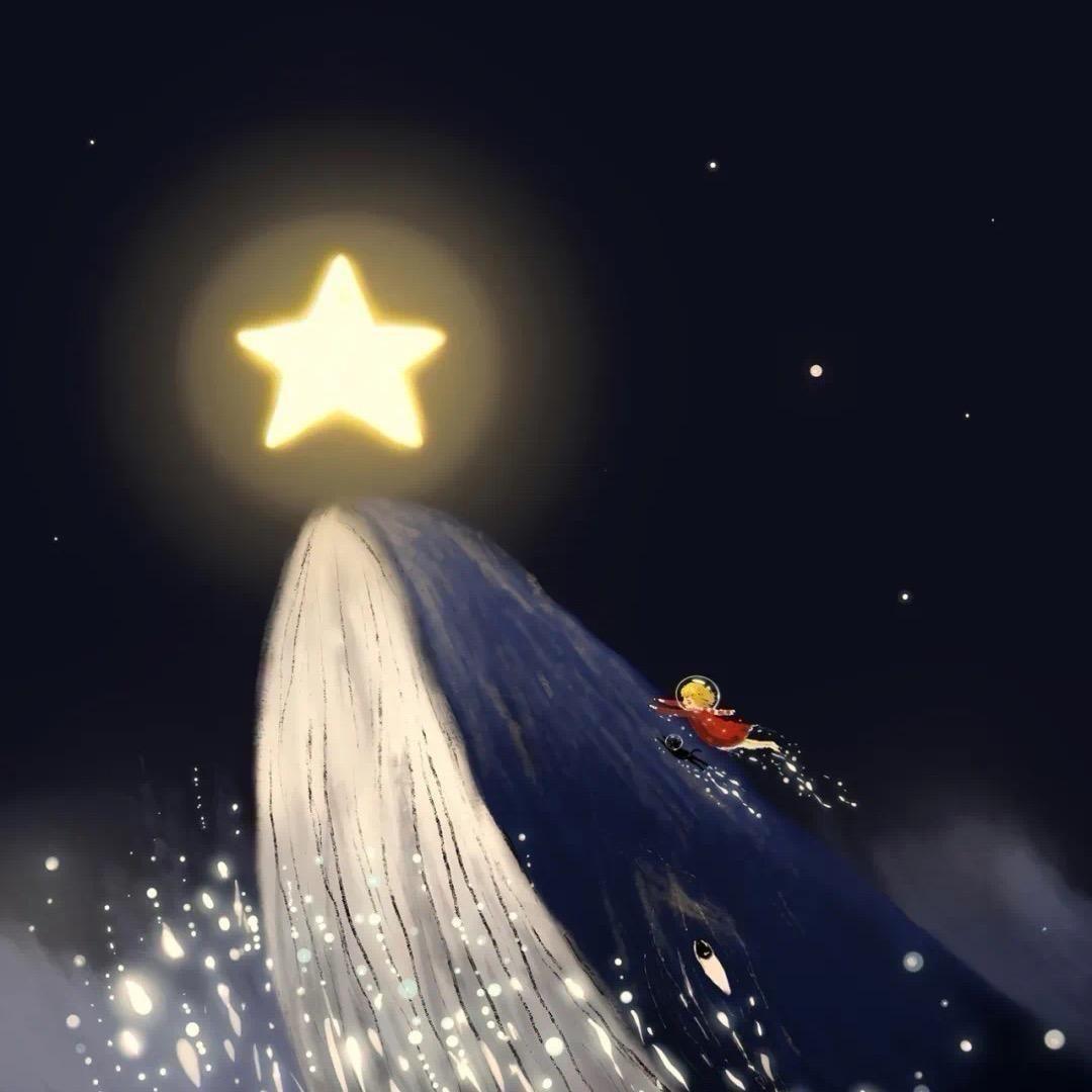 在夏天摘星星✨