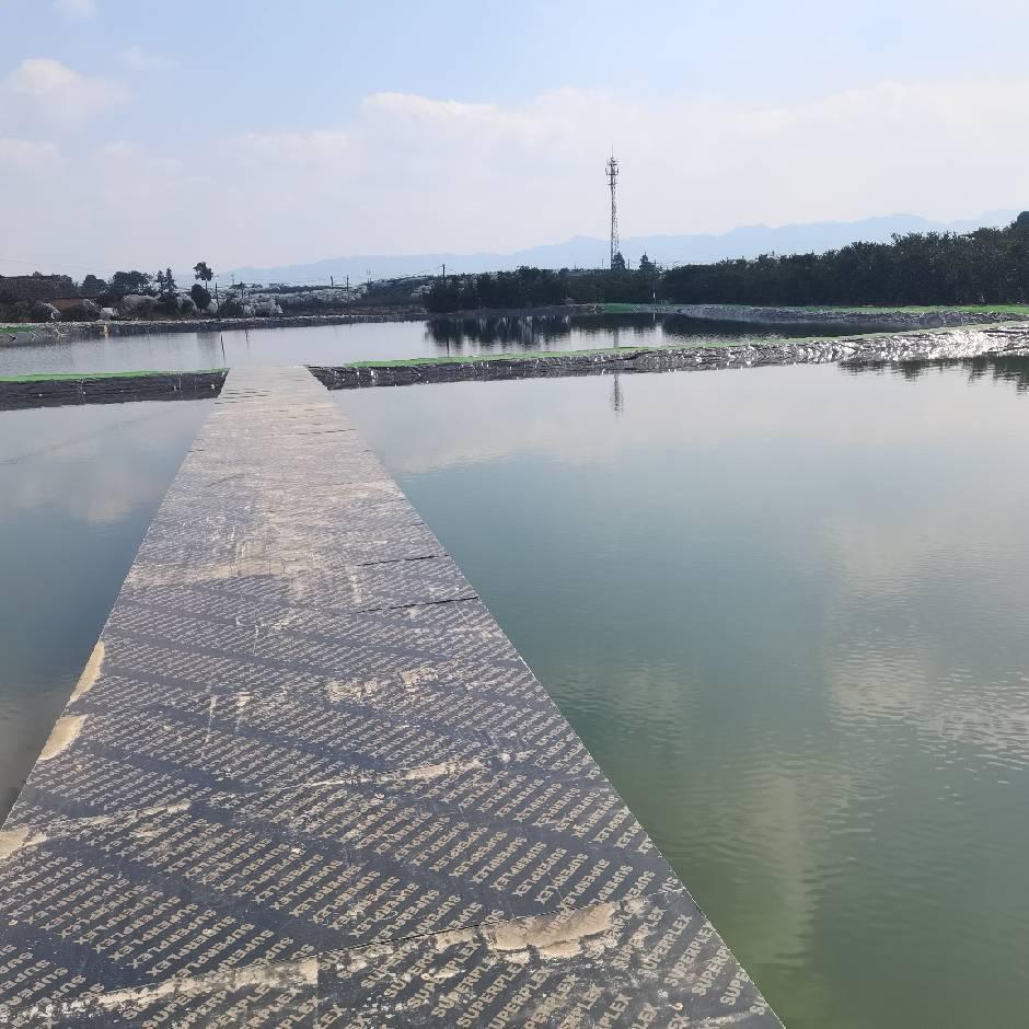 高桥渔乐园🎣