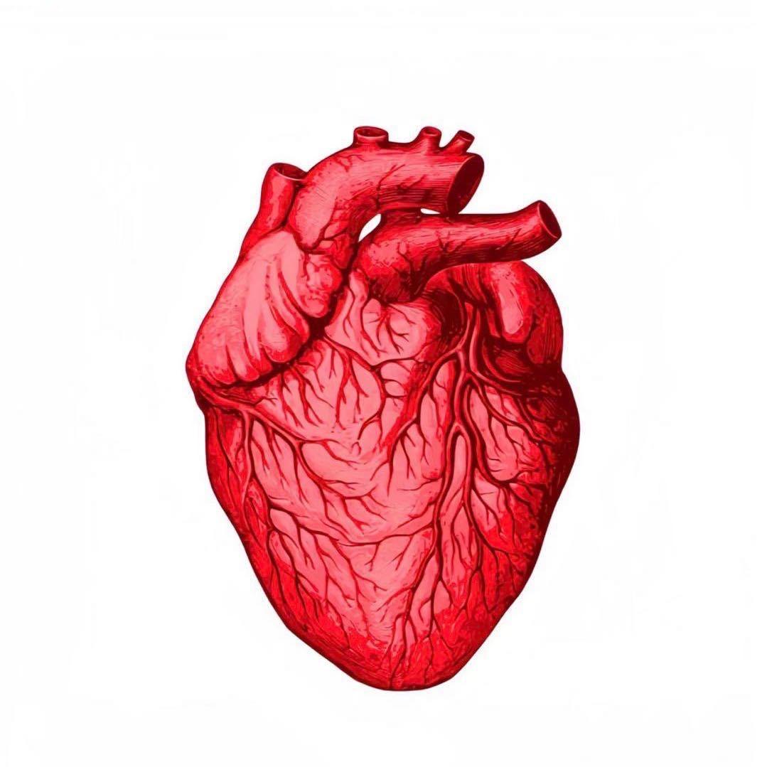还我南京30万人