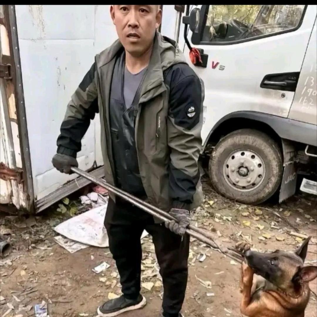Aaa专业套狗李师傅
