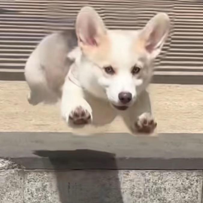 邹柒柒