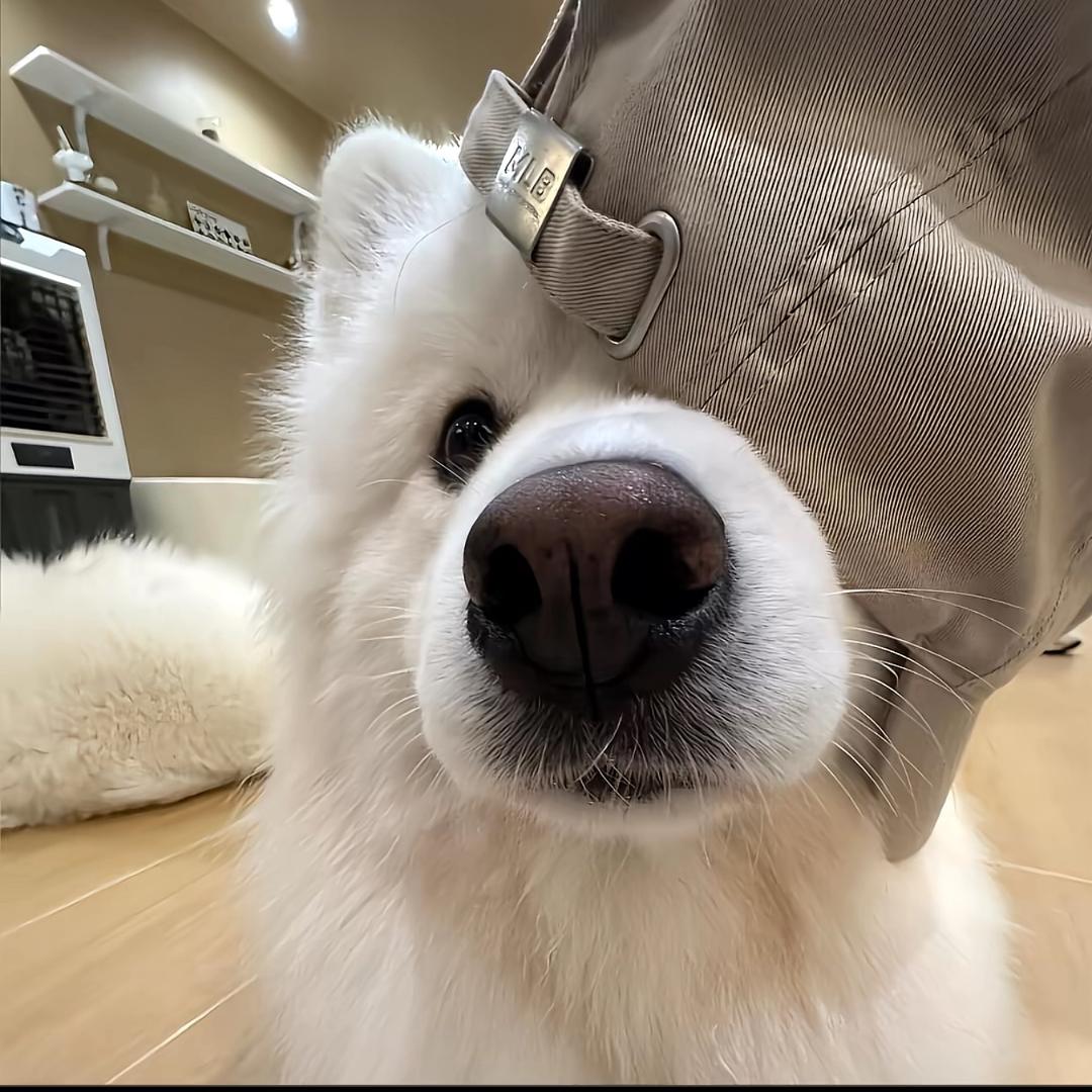 —_