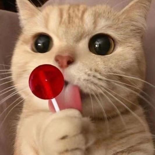 劣者李小圣