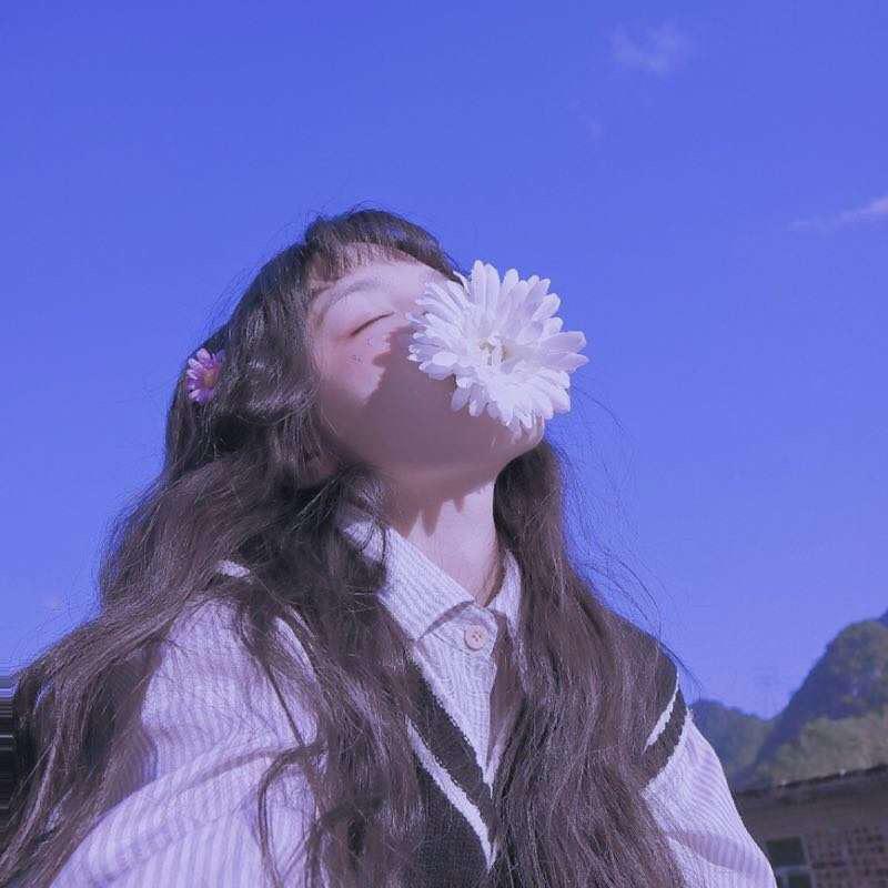 音绊Carol