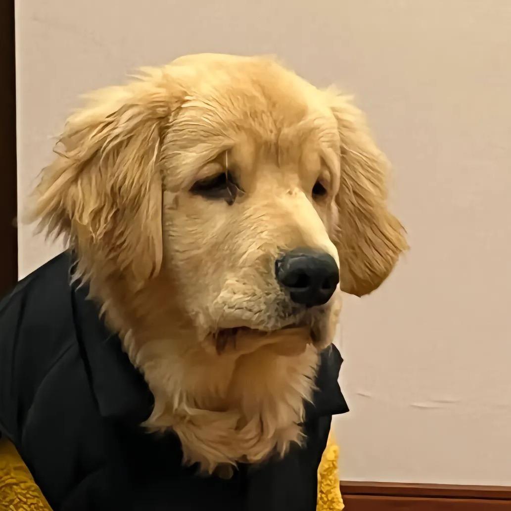 新奕