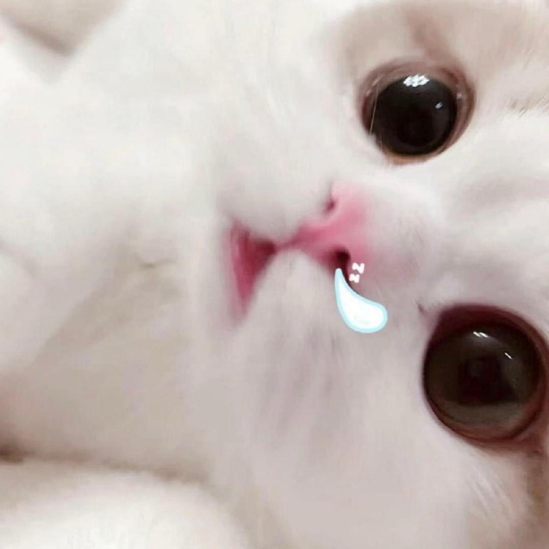 无敌烤冷面大王