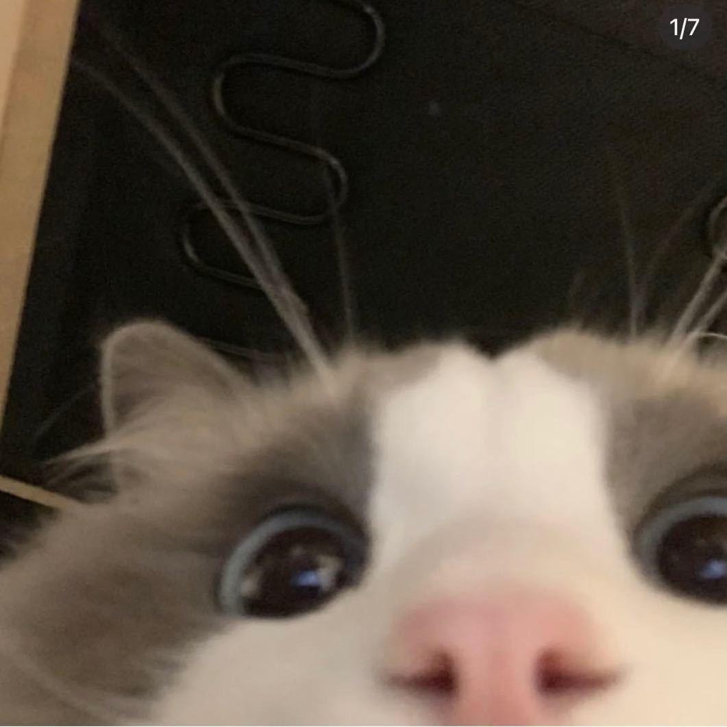 卷卷