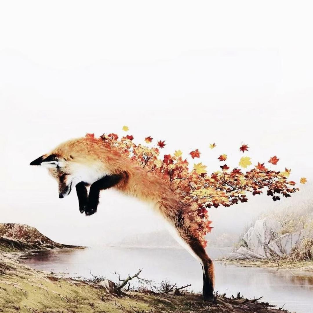楓