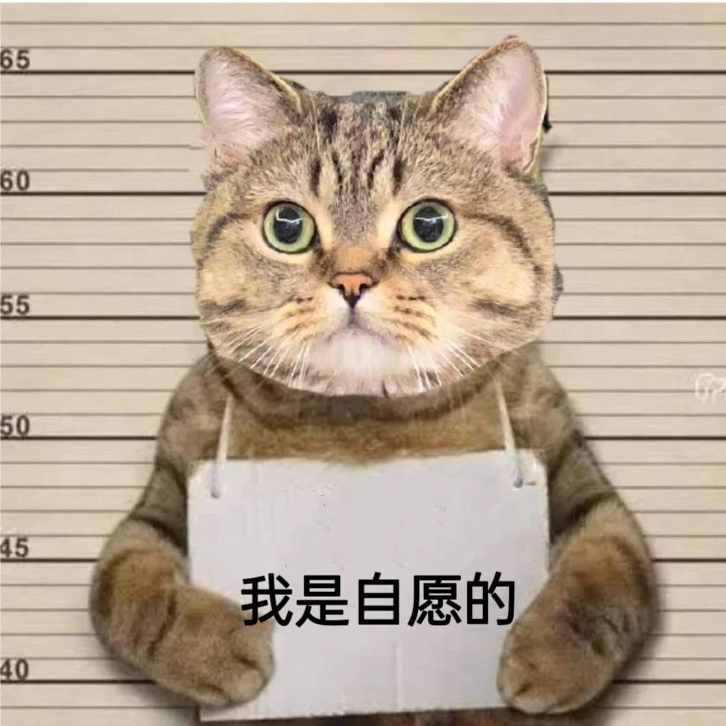 金闪闪