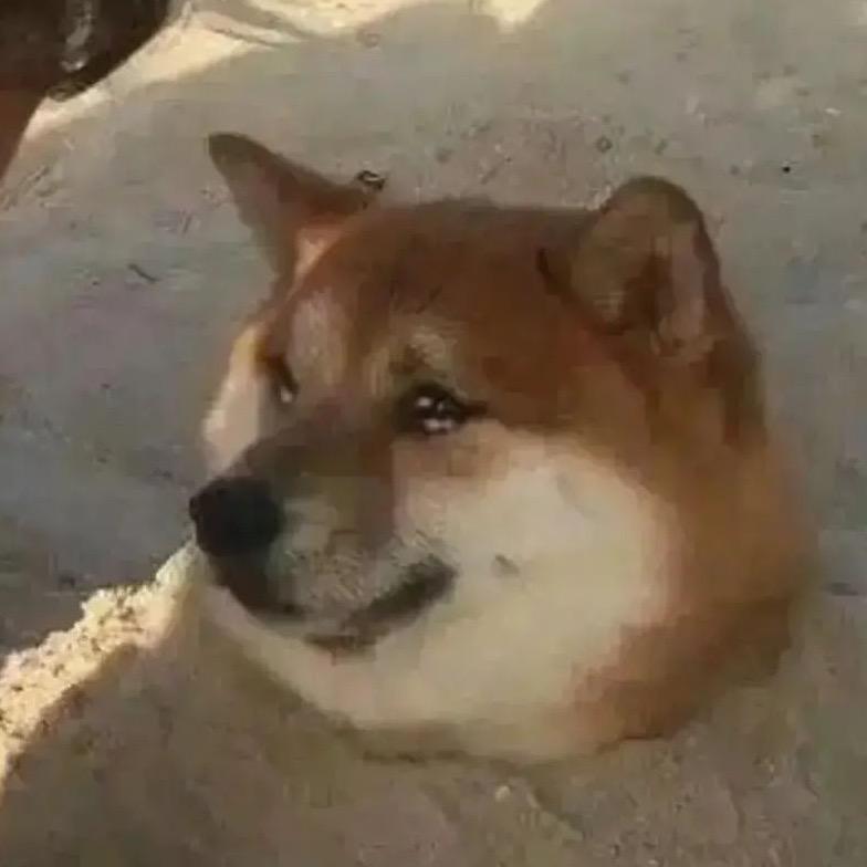 陌生人