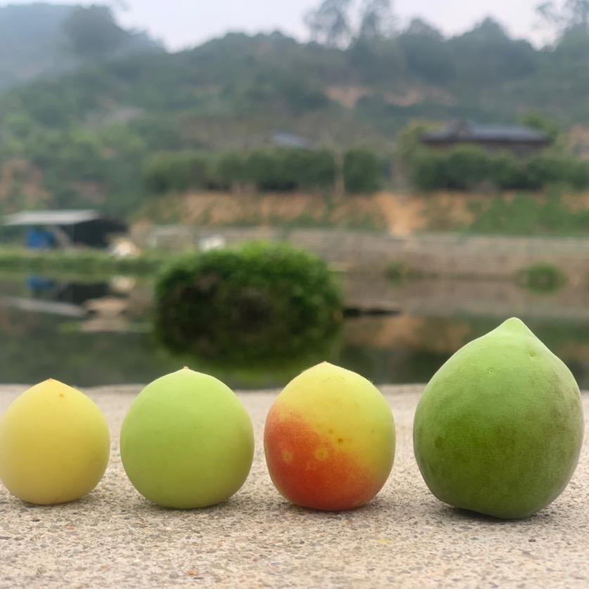 维直生鲜