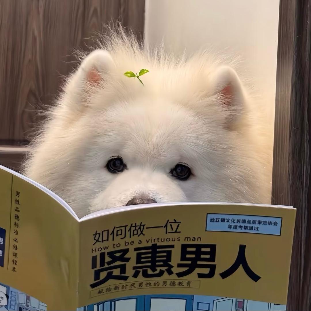 韩春博