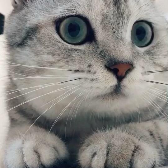 2845
