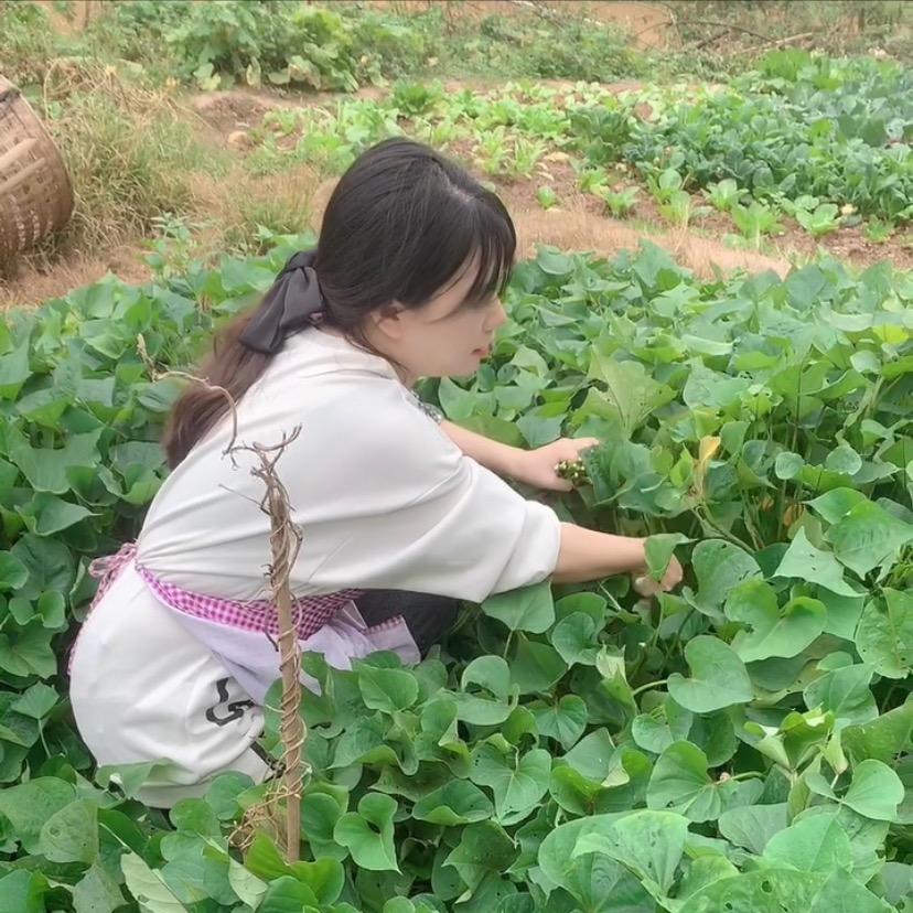 乡村小小