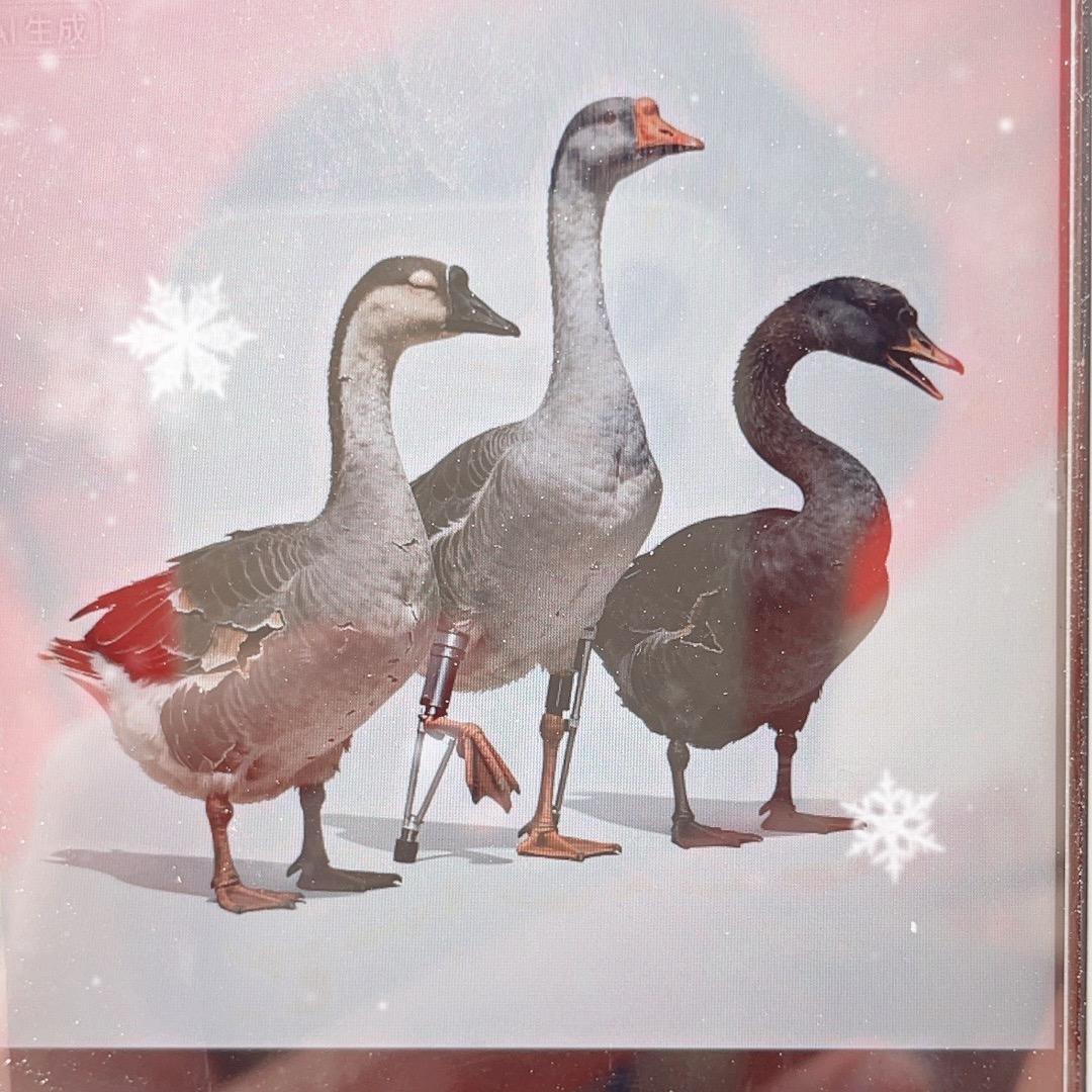 三只鹅