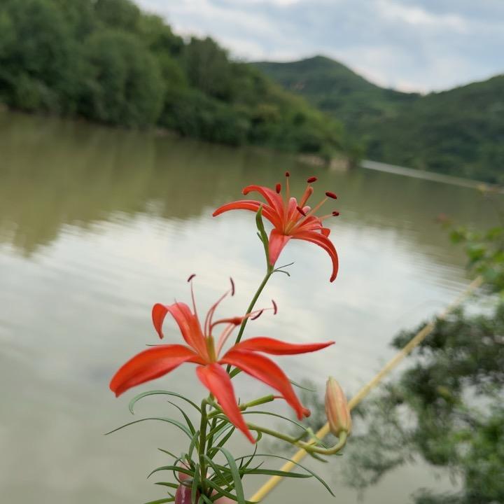 ᦗ᭄꯭💞逆光ᤢᤣ奔跑