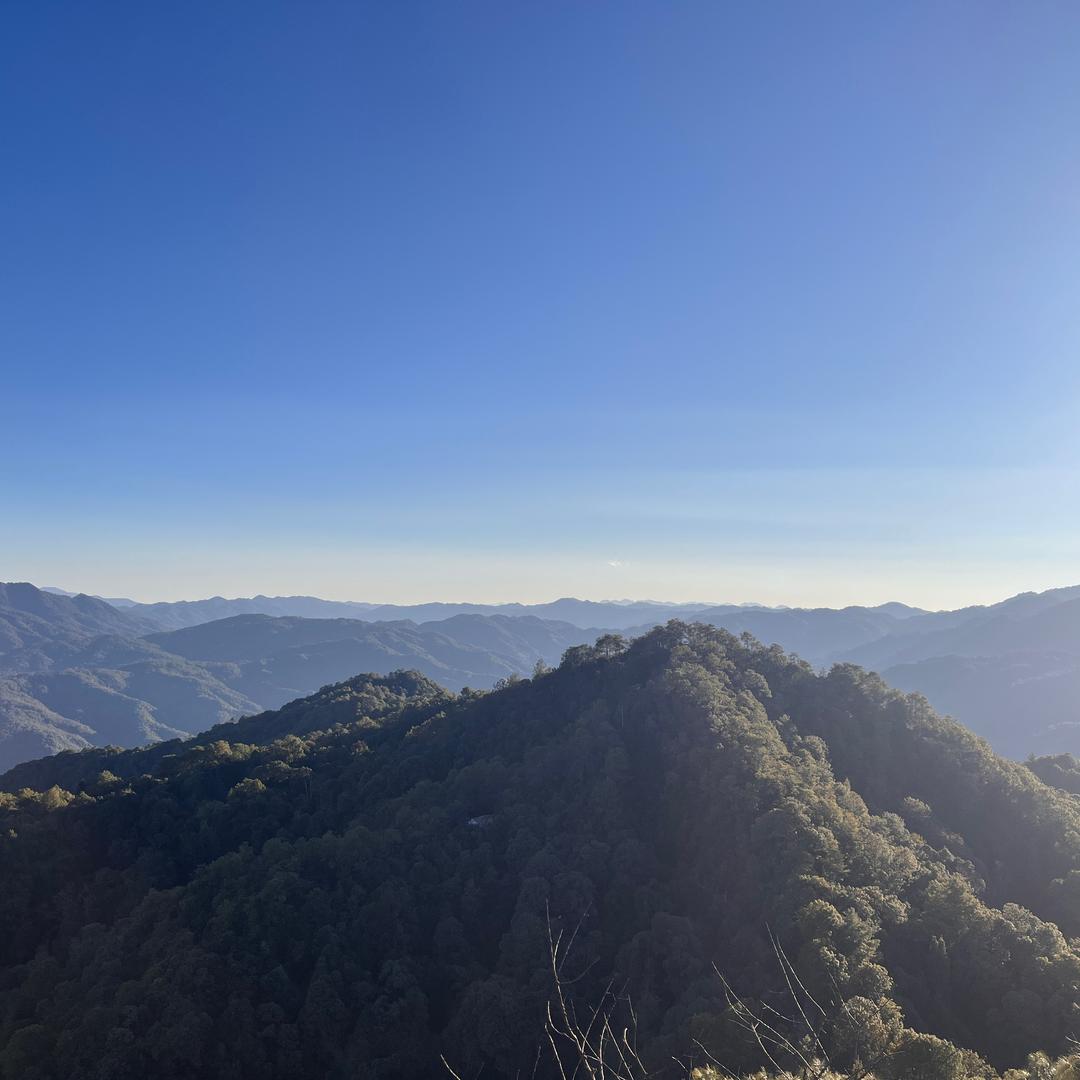 本人已死，有事烧纸