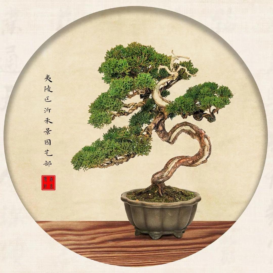 沂禾景园艺店
