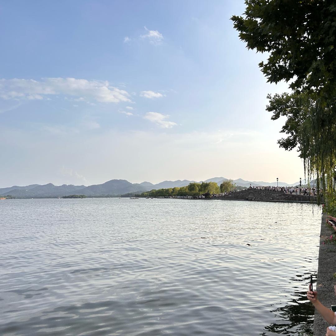 胖虎爱喝水
