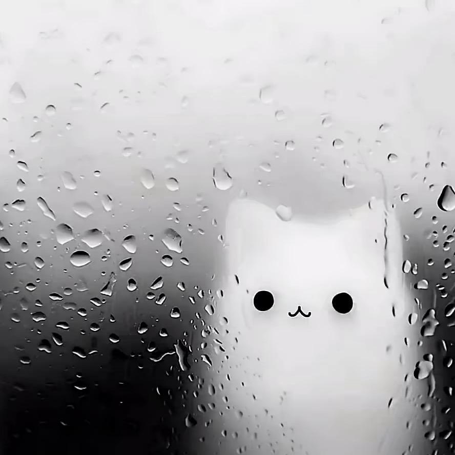 不想早七啊