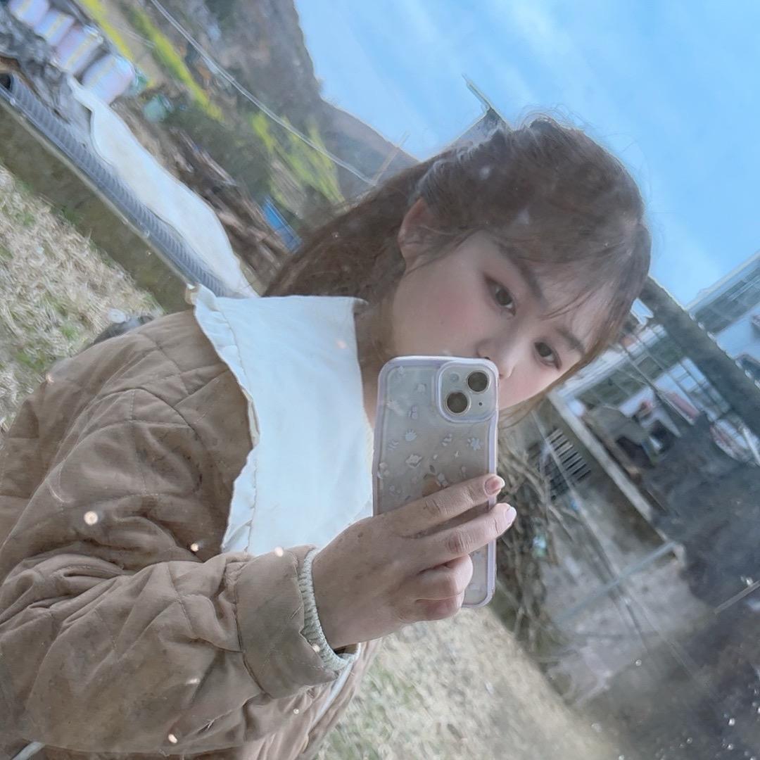 蓝燕子