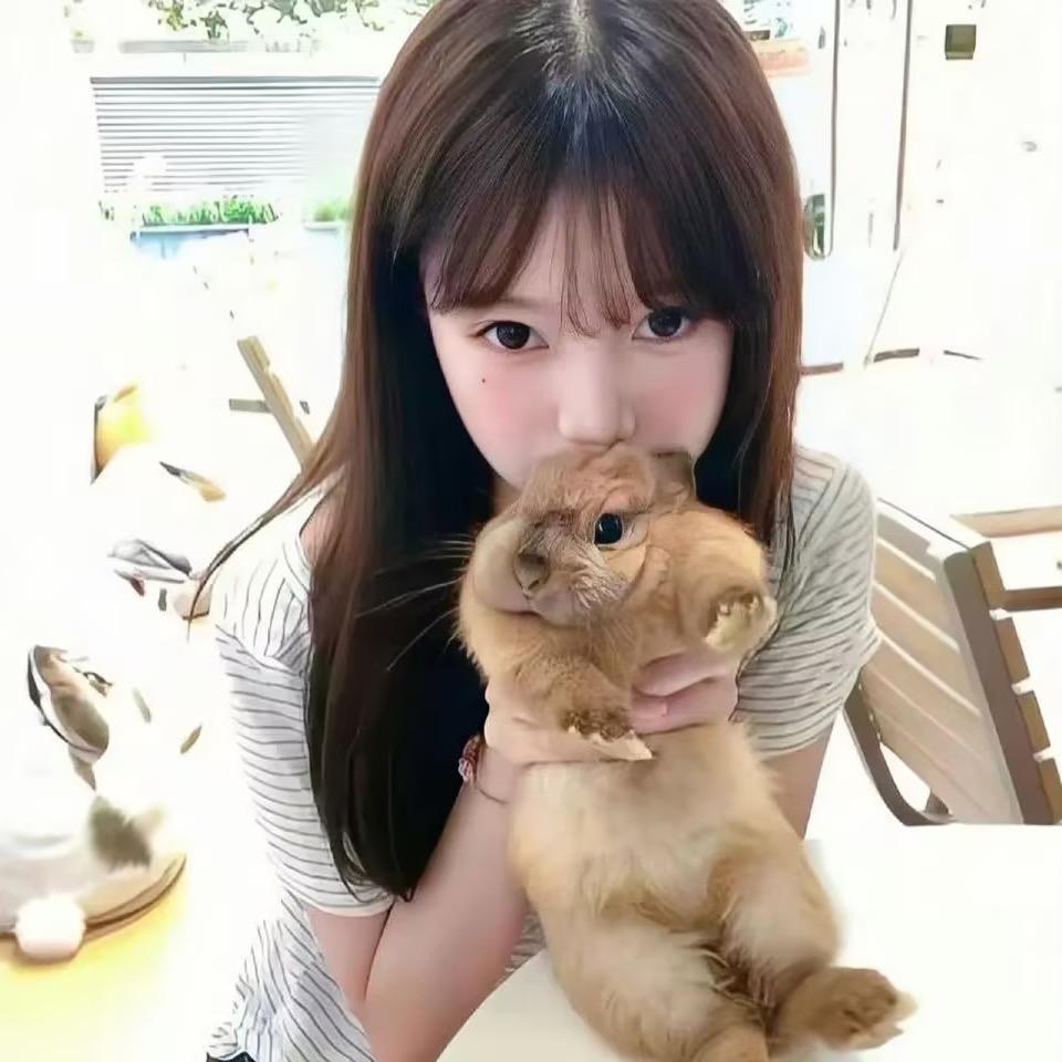 y小羊