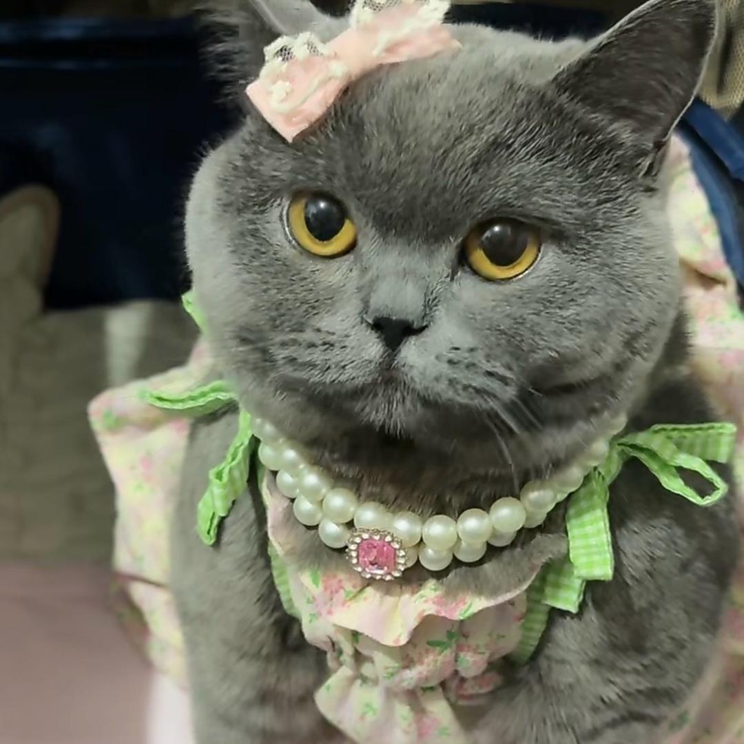 珍惜眼前
