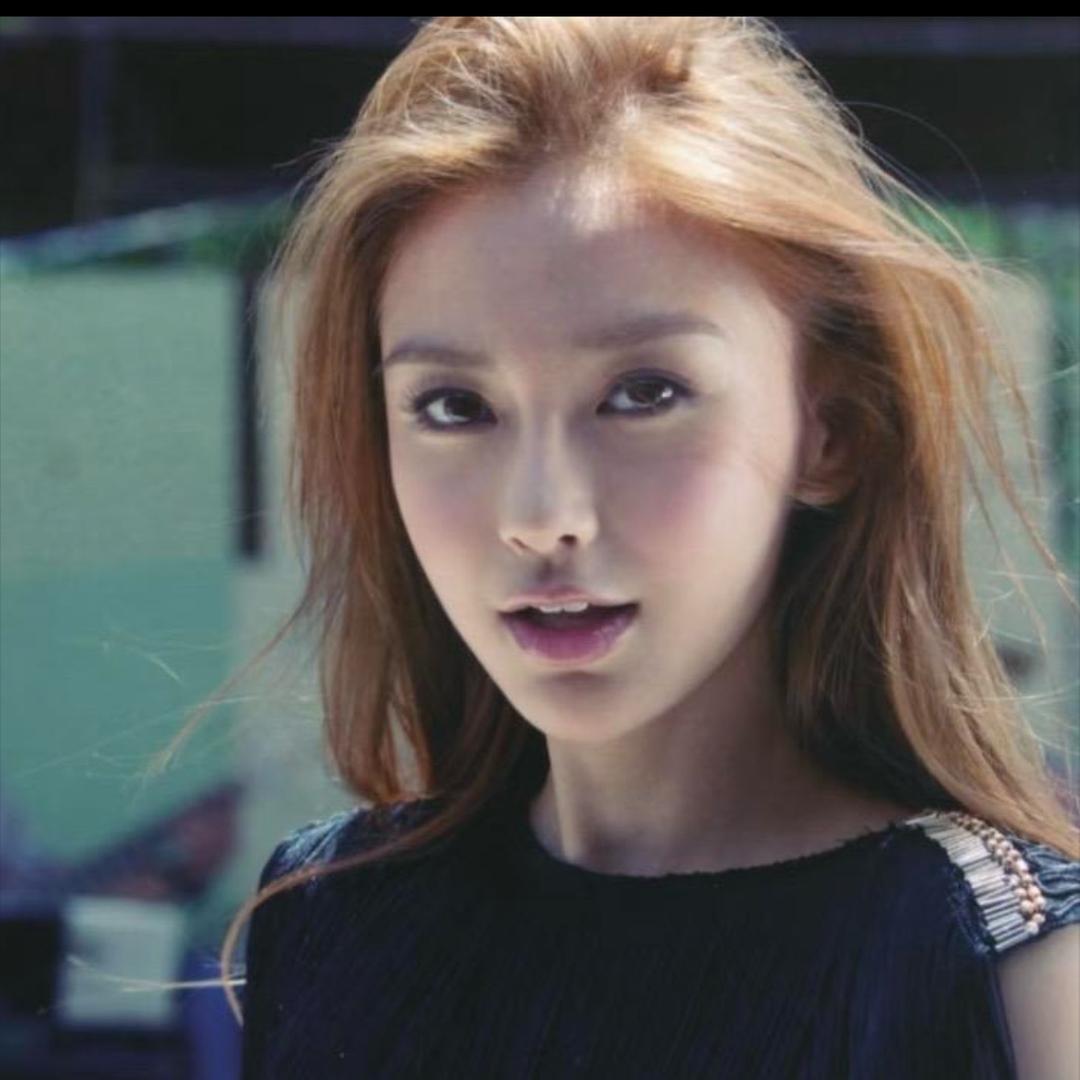 想去挪威当一只鸟