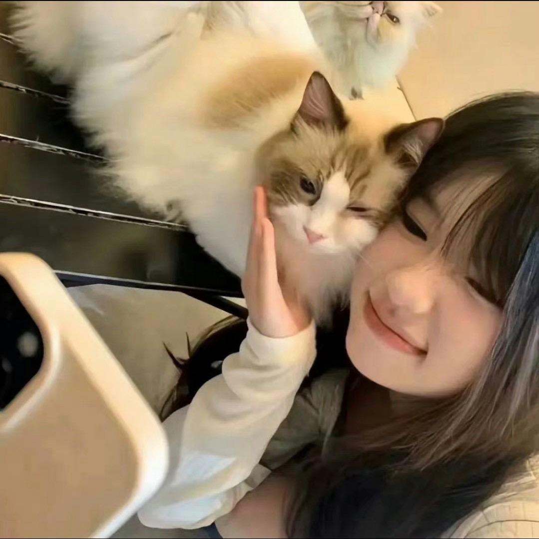 ZZzᶻ